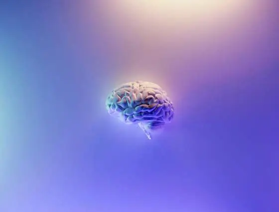 Creatin: Frische Studien für Gehirn, Muskeln und Mitochondrien