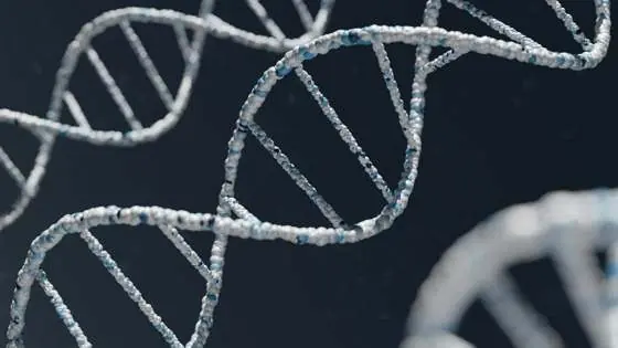 Epigenetik: Warum deine Gene nicht dein Schicksal sind, sondern dein Ausgangspunkt