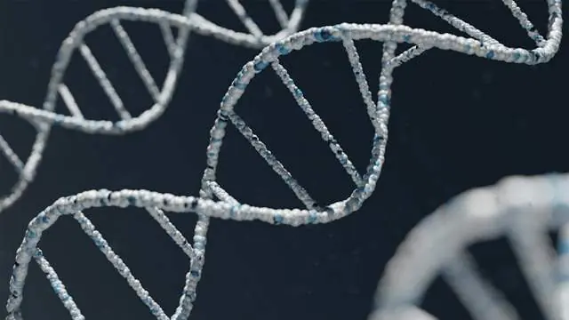 Epigenetik in der Präventionsmedizin verstehen