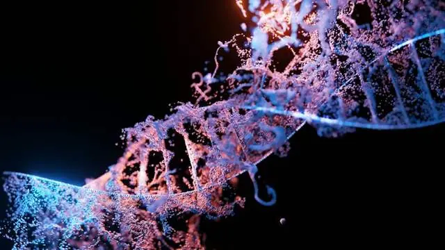 Epigenetik Praxis München: worauf es ankommt
