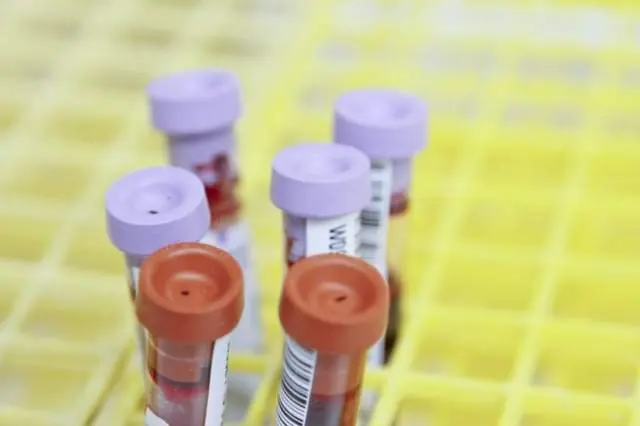 Leitfaden zur funktionellen Labordiagnostik