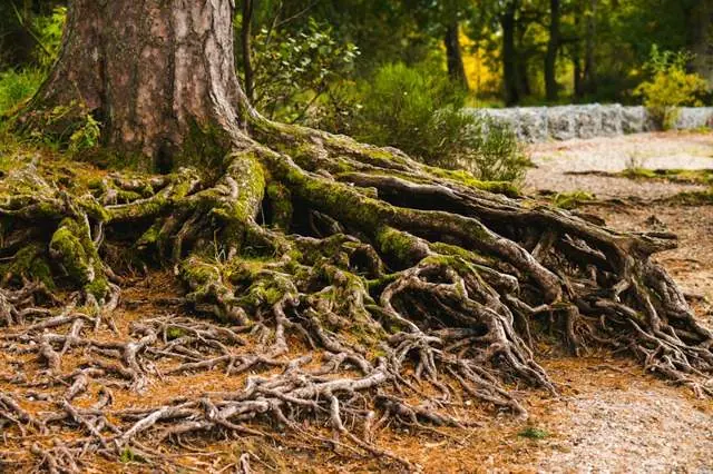 Resilienz fördern im Alltag: was wirklich hilft