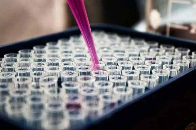 Thymosin Alpha 1 und das Immunsystem