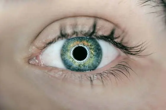 Morgensonne & Abendlicht: Wie Tageslicht Schlaf, Hormone & innere Uhr steuert